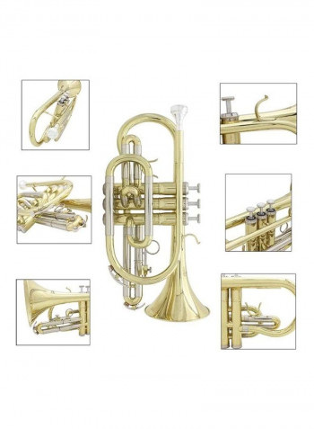 Flat Cornet Set