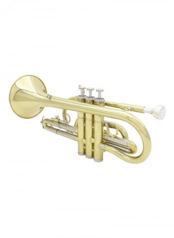 Flat Cornet Set