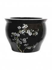 Japanese Ceramic Planter Black/White reviews Japanese Ceramic Planter Black/White