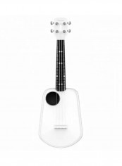 Little Guitar