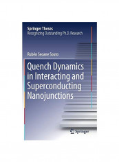 Quench Dynamics In Interacting And Superconducting Nanojunctions Hardcover