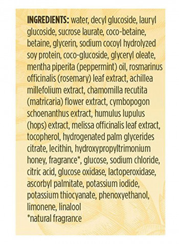 Peppermint And Rosemary Body Wash 12ounce