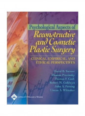 Psychological Aspects Of Reconstructive And Cosmetic Plastic Surgery: Clinical, Empirical, And Ethical Perspectives Hardcover English by David B. Sarwer