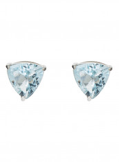 18 Karat White Gold Aquamarine Trilliant Earrings