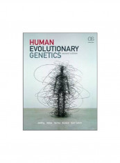 Human Evolutionary Genetics Paperback