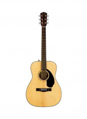 Concert Acoustic Guitar