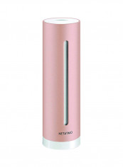 Smart Indoor Climate Monitor NETATMO-NHC-P2 Rose Gold