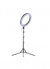 RL720B Bi-Colour LED Ring Light With Phone Holder Black