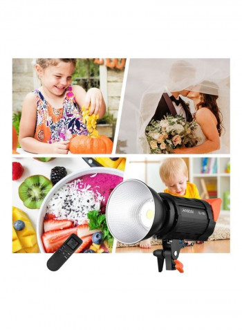 Focus Light  Daylight Dimmable Bowens Mount With Remote Control multicolour