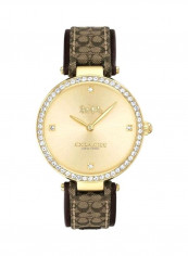 Women's Jacquard Water Resistant Analog Watch 14503456