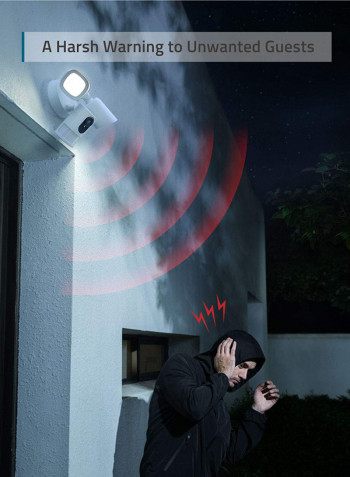 Security Floodlight Camera With Local Storage, 2500 Lumens
