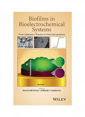 Biofilms In Bioelectrochemical Systems: From Laboratory Practice To Data Interpretation Hardcover