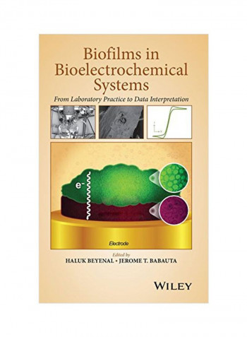 Biofilms In Bioelectrochemical Systems: From Laboratory Practice To Data Interpretation Hardcover