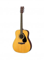 Dreadnought Acoustic Guitar