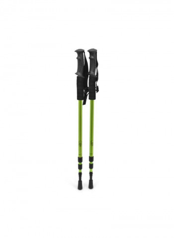 Snow Shoes Gear Set With Adjustable Poles Carry Bag