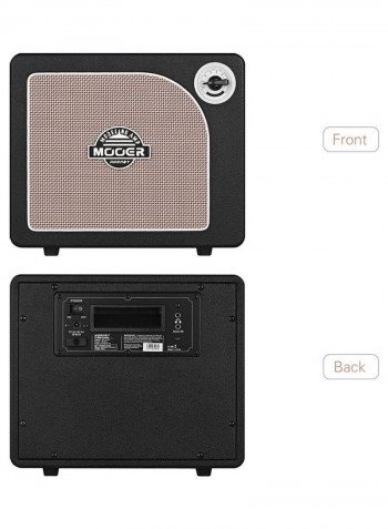 Guitar Amplifier Speaker