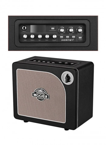 Guitar Amplifier Speaker