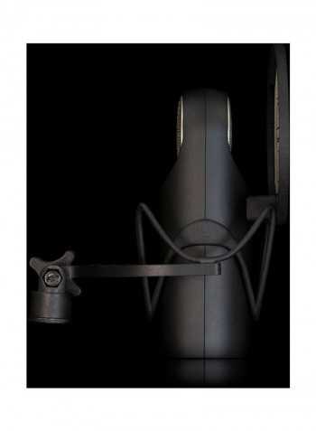Single Pattern Cardioid Microphone With Unique Capsule Technology