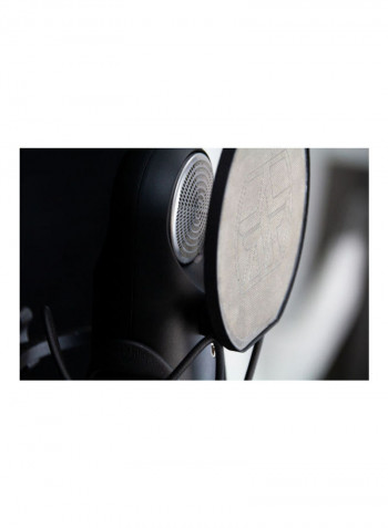 Single Pattern Cardioid Microphone With Unique Capsule Technology