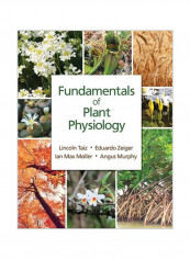 Fundamentals Of Plant Physiology Paperback