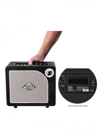 Guitar Amplifier Speaker