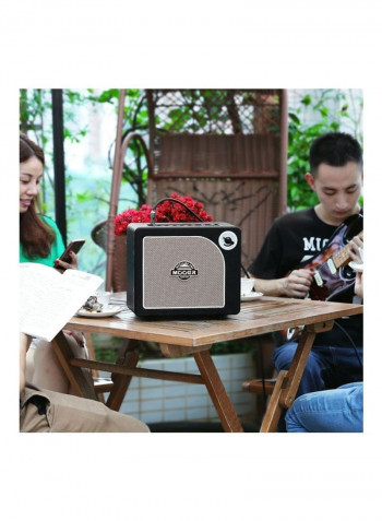 Guitar Amplifier Speaker