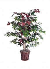 Artificial Vickerman Bush With Basket Green/Red reviews Artificial Vickerman Bush With Basket Green/Red