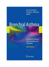 Bronchial Asthma: A Guide For Practical Understanding And Treatment Hardcover 6