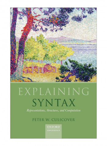 Explaining Syntax Hardcover