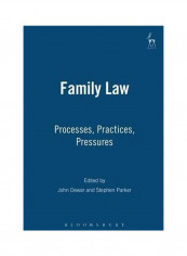 Family Law: Processes, Practices, Pressures Paperback
