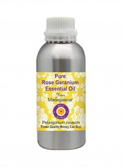 Pure Rose Geranium Essential Oil 300ml reviews Pure Rose Geranium Essential Oil 300ml