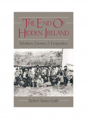 The End Of Hidden Ireland: Rebellion, Famine, And Emigration Hardcover