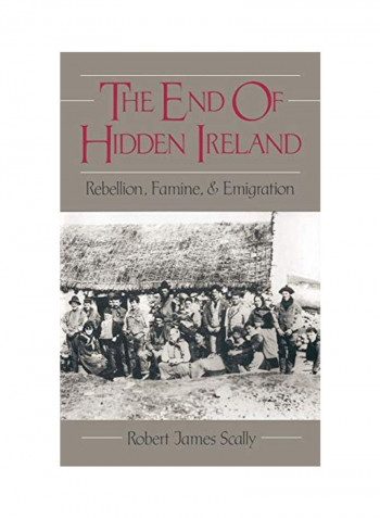The End Of Hidden Ireland: Rebellion, Famine, And Emigration Hardcover