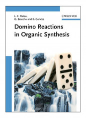 Domino Reactions In Organic Synthesis Hardcover 1st Edition