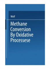 Methane Conversion By Oxidative Processes Paperback reviews Methane Conversion By Oxidative Processes Paperback