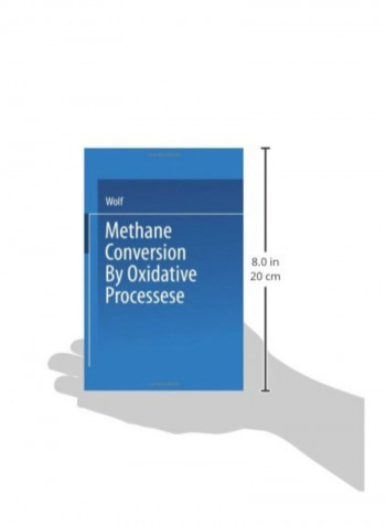 Methane Conversion By Oxidative Processes Paperback