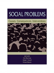 Social Problems: Causes, Consequences, Interventions Paperback 2