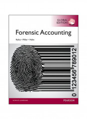 Forensic Accounting Paperback