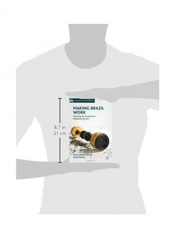 Making Brazil Work: Checking The President In A Multiparty System Hardcover