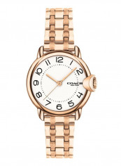 Women's Arden Water Resistance Stainless Steel Analog Watch 14503603
