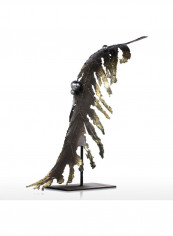 Banana Leaf Modern Metal Sculpture Bronze reviews Banana Leaf Modern Metal Sculpture Bronze