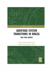 Agrifood System Transitions In Brazil Hardcover English by Paulo André Niederle