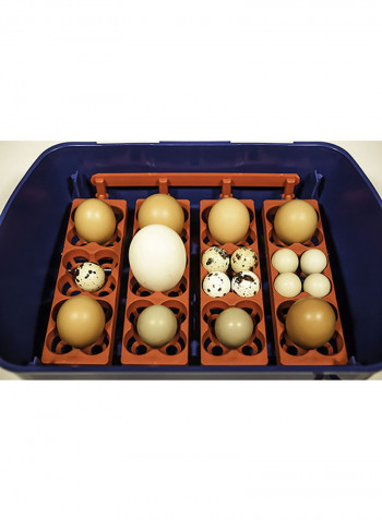 12- Eggs Mini Intelligent Automatic Egg Incubator Multicolour