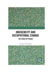 Indigeneity And Occupational Change Hardcover English by Birinder Pal Singh