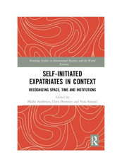 Self-Initiated Expatriates in Context: Recognizing Space, Time, and Institutions Hardcover