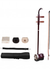 2-String Violin Fiddle Musical Instrument Set