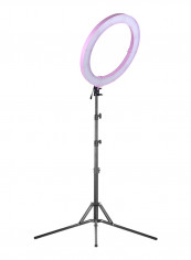 Digital Ring Video Light With Light Stand 19inch Pink