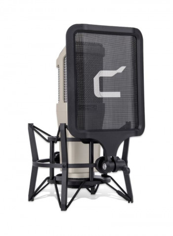 Professional Condenser Cardioid Microphone LU-D8124 Grey/Black