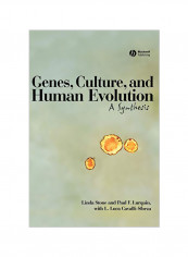 Genes, Culture, And Human Evolution: A Synthesis Hardcover