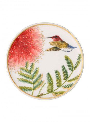 6-Piece Amazonia Printed Coaster Set White/Green/Red 11centimeter